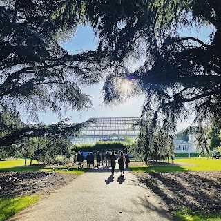 Kew Gardens: Secret World of Plants After Hours