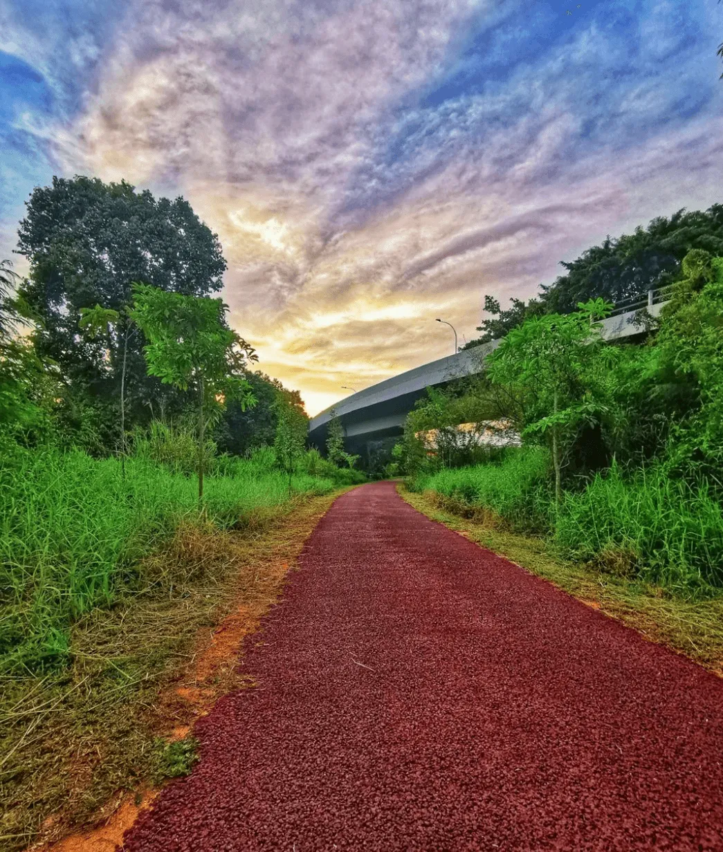 Tree-Lined Path Along The Green Corridor