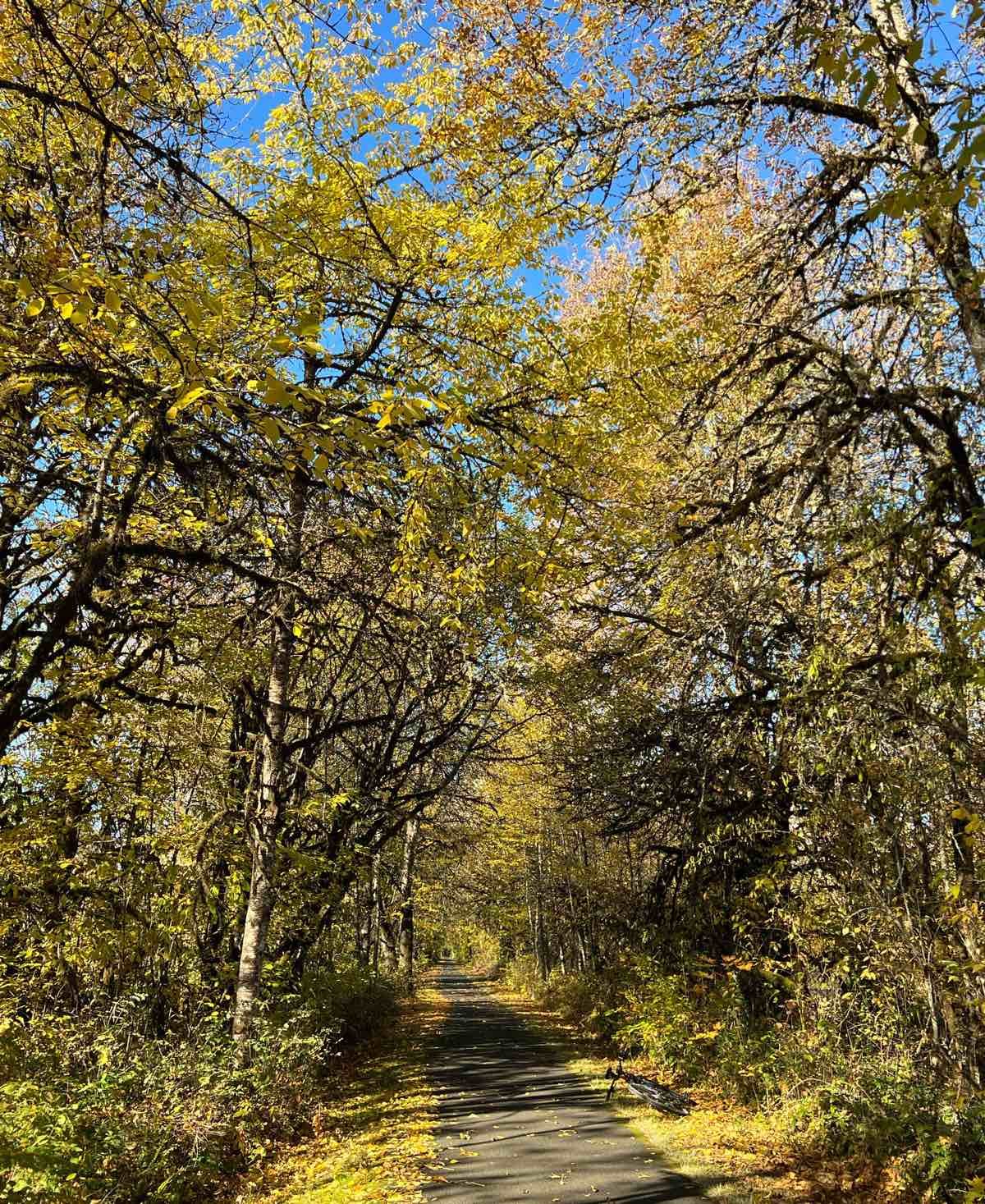 Bikerumor Pic Of The Day: Washington County, Oregon
