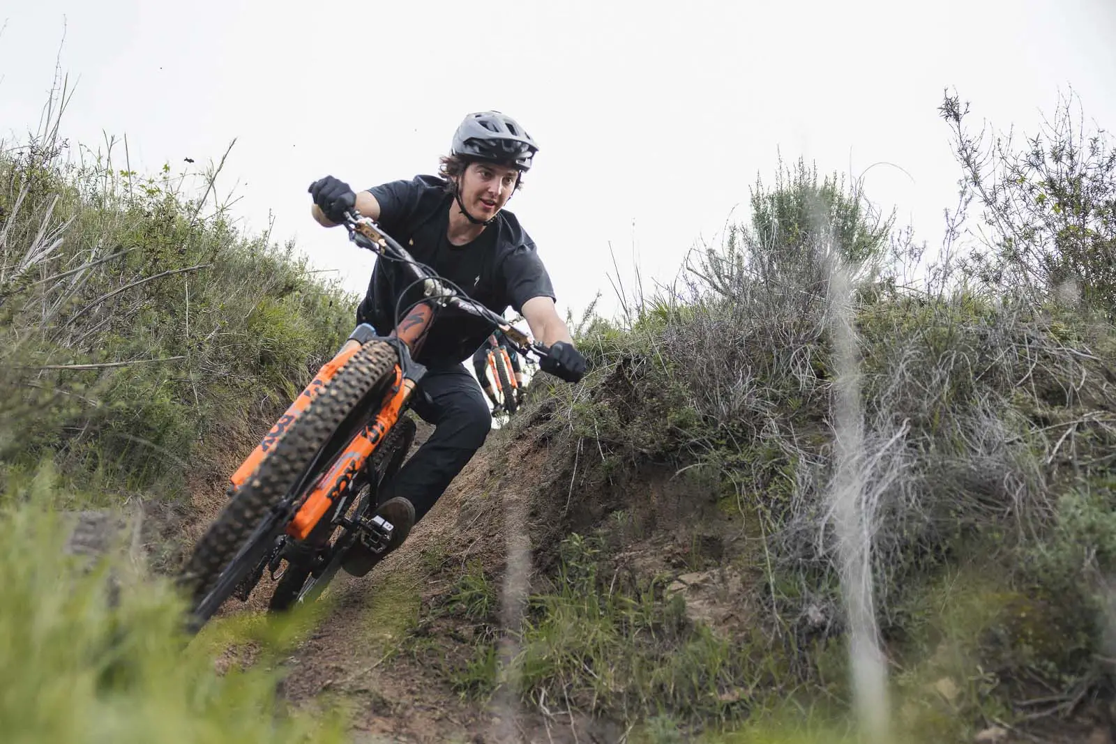 A Day in the Life – Max Sedlak
