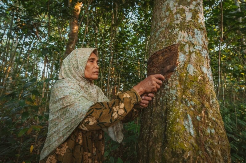 Are Your Tires Fair Trade? Schwalbe Expands Fair Rubber Program Supporting Small Farmers