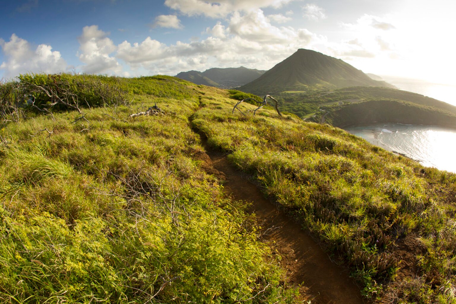 Shimano Trail Born Fund Will Donate  Million to Build New Trails!