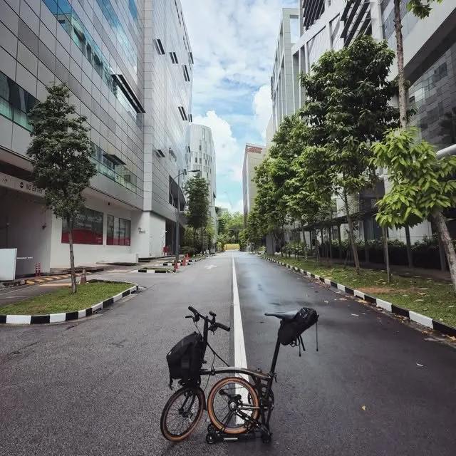 Sunday's are for cycling.